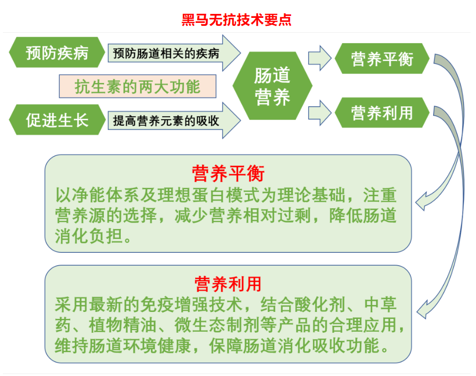 無抗新技術(shù)，..