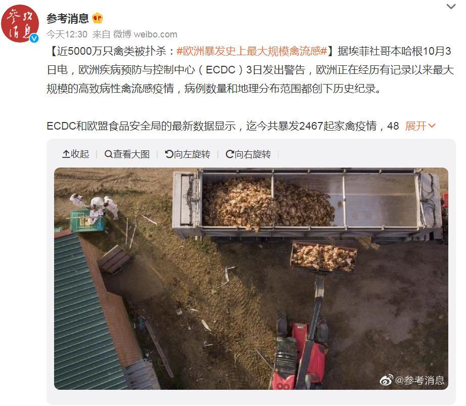 關(guān)注！歐洲暴發(fā)史上最大規(guī)模禽流感，波及37個(gè)國(guó)家！近5000萬(wàn)只禽類(lèi)被撲殺，蛋價(jià)會(huì)上漲么？